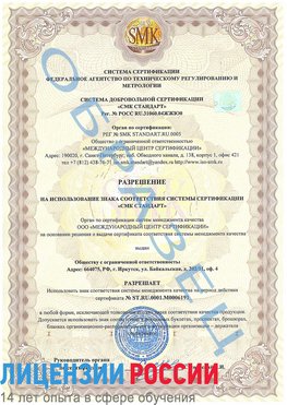 Образец разрешение Георгиевск Сертификат ISO 50001